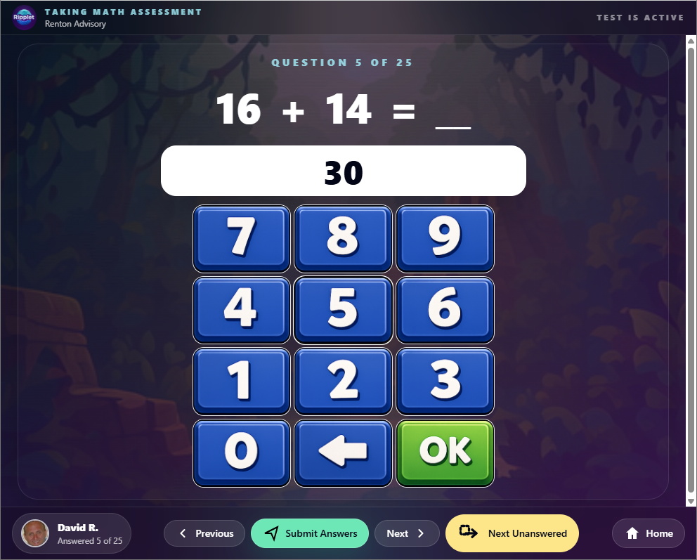 Math Assessment student test screenshot